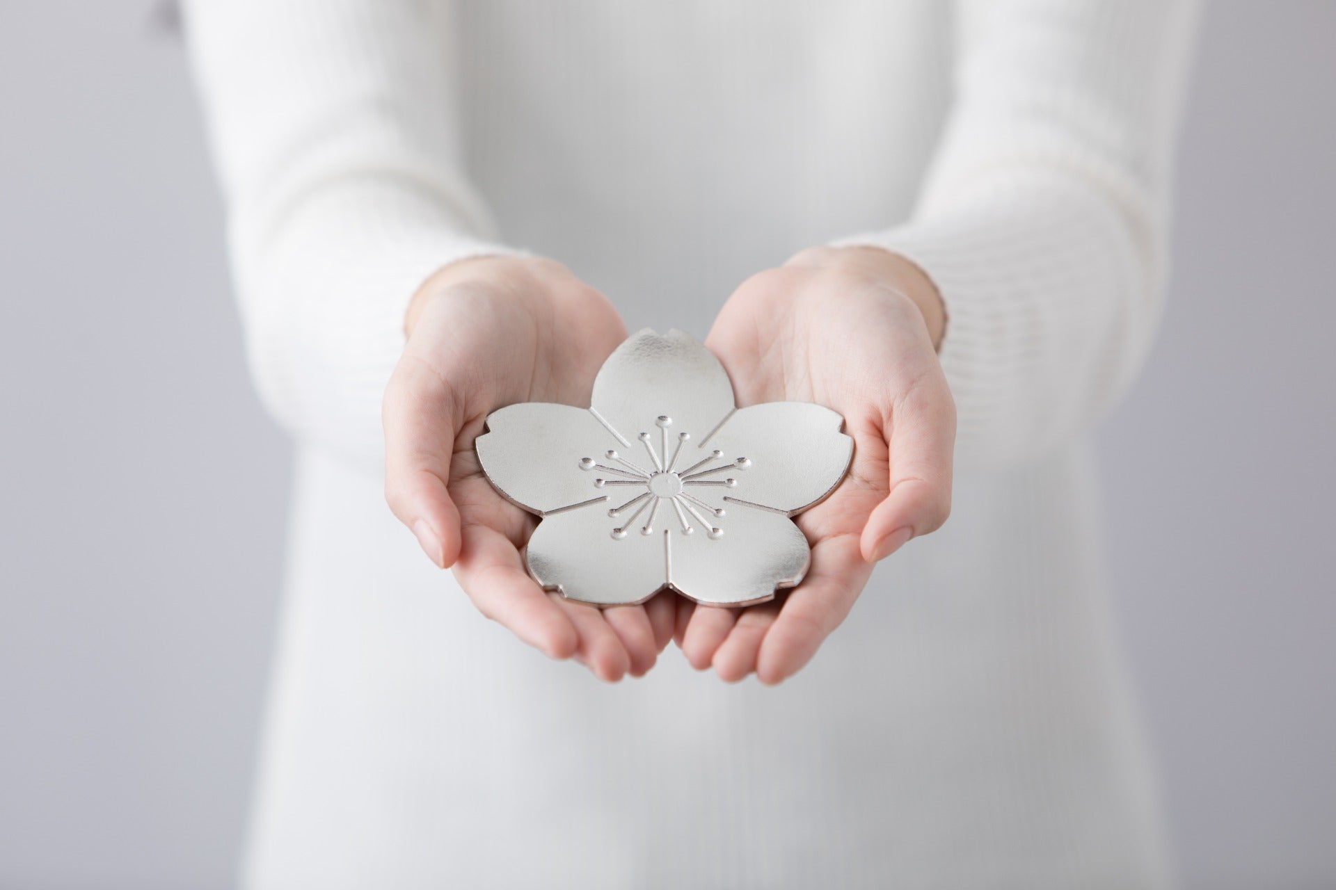 Sakura Tin Plate - Nousaku