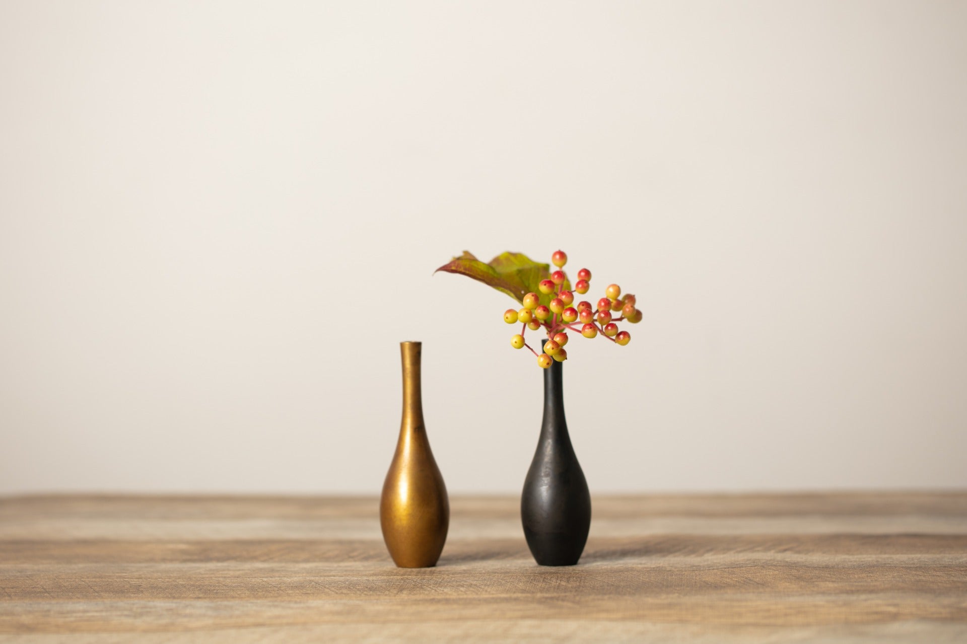 Sorori - Mini Golden Tea