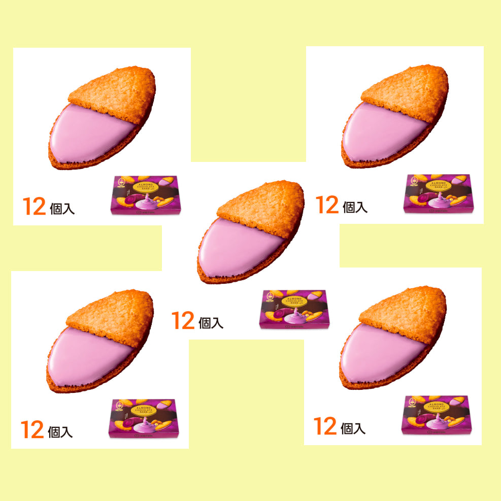 Almond Chocolate Sandwich Cookie 5 Packs Set