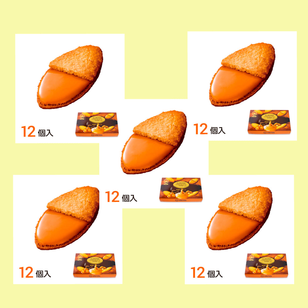 Almond Chocolate Sandwich Cookie 5 Packs Set