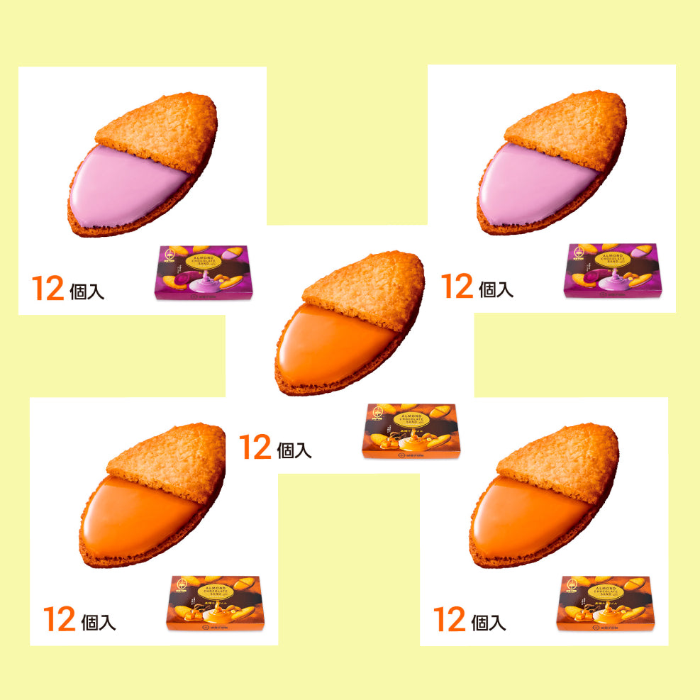 Almond Chocolate Sandwich Cookie 5 Packs Set