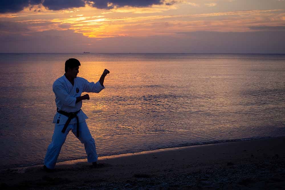 VOYAPON STORE 100 Japanese Products By Passionate Designers 